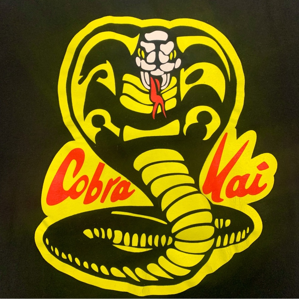 The Karate Kid Cobra Kai Graphic T-Shirt